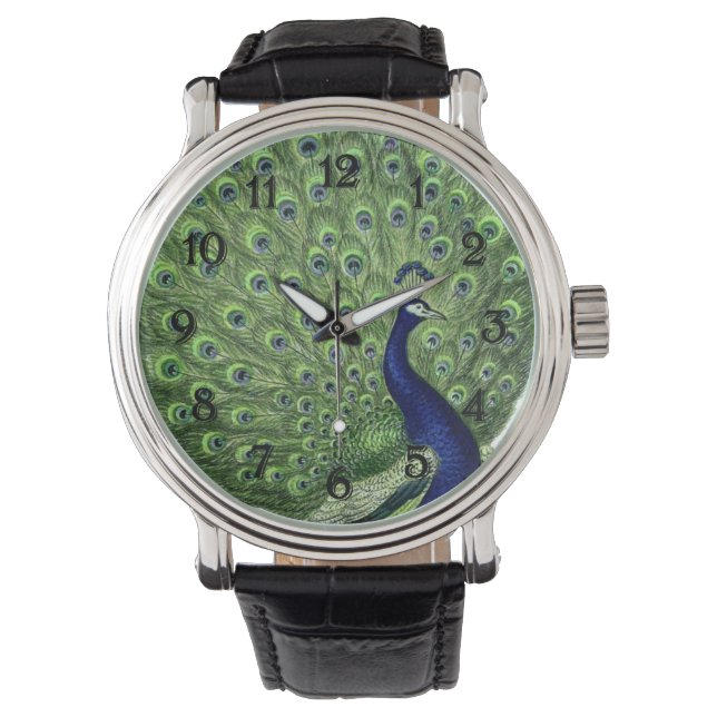 Pretty Peacock Watch (Front)