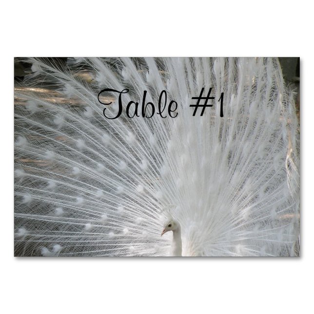 Pretty Peafowl Table Number (Front)