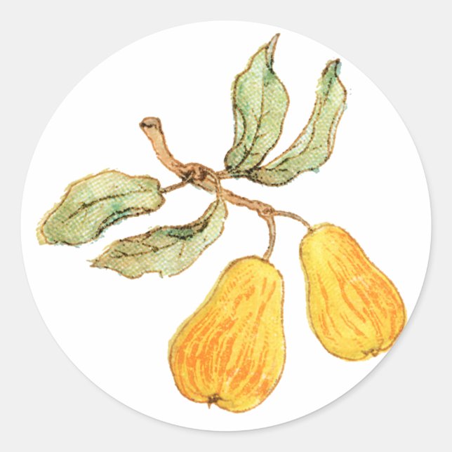 Pretty Pear Pair Classic Round Sticker (Front)