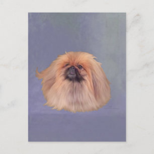 Pretty Pekingese Postcard