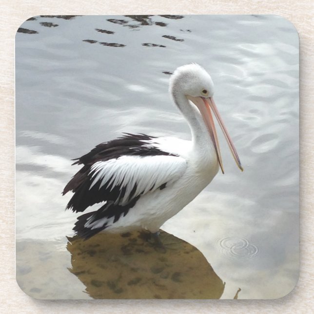 Pretty Pelican Coaster Set (Front)