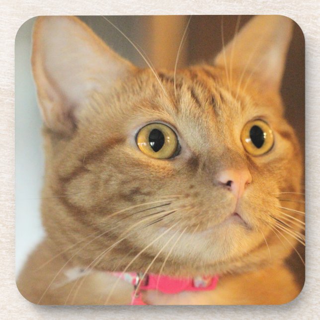 Pretty Penny Coaster (Front)