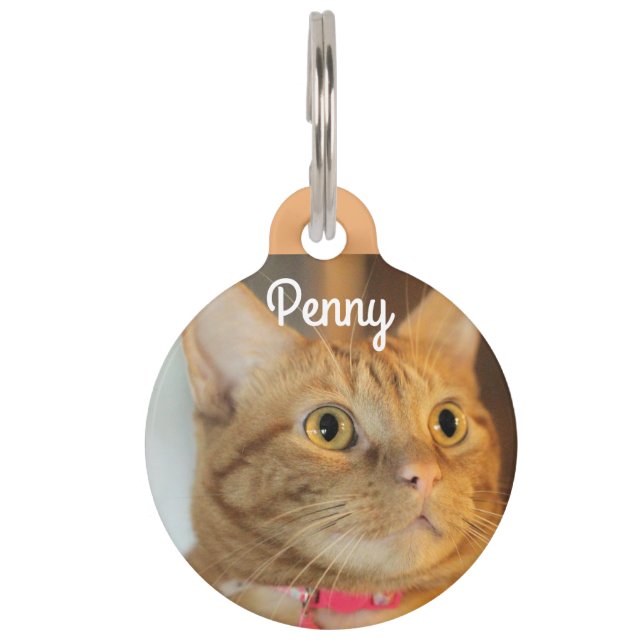 Pretty Penny Pet Tag (Front)