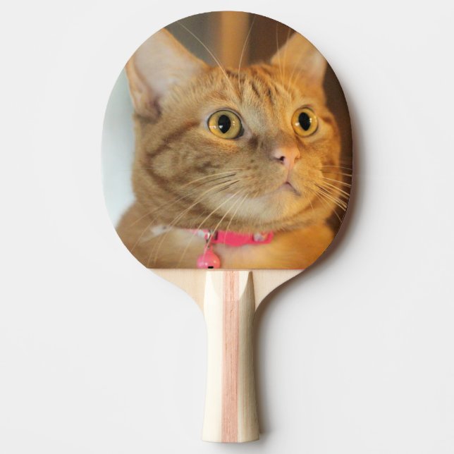 Pretty Penny Ping Pong Paddle (Front)