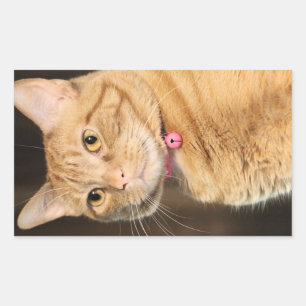 Pretty Penny Rectangular Sticker