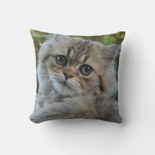 Pretty Persian Kitten Cushion
