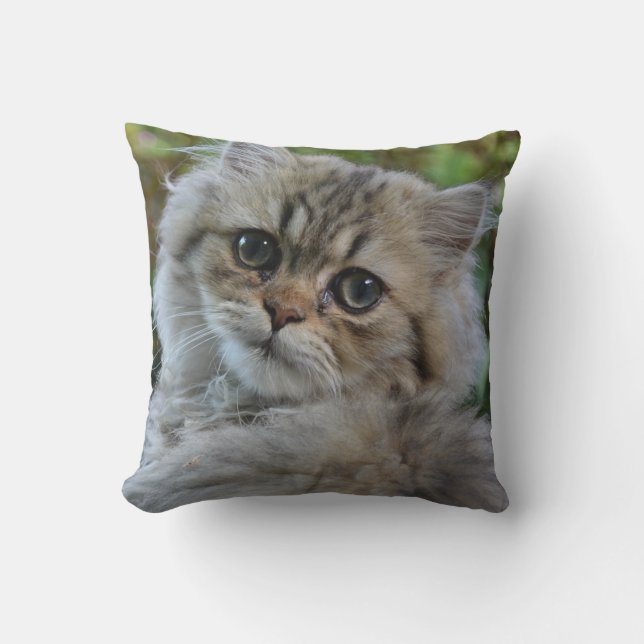 Pretty Persian Kitten Cushion (Front)