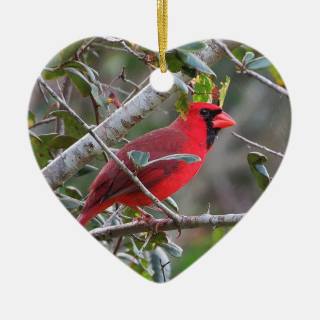 Pretty Personalised Cardinal Heart ornament (Front)