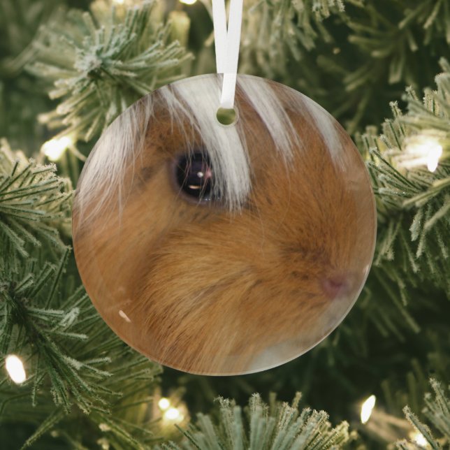 Pretty, Peruvian, Buff and White Guinea Pig Face Glass Tree Decoration (Insitu)