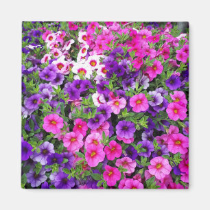 Pretty Petunias Magnet