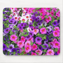 Pretty Petunias