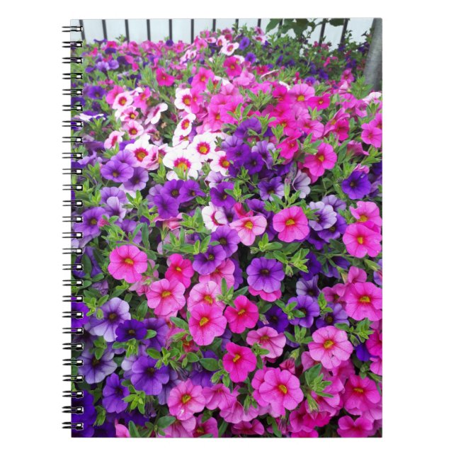 Pretty Petunias Notebook (Front)