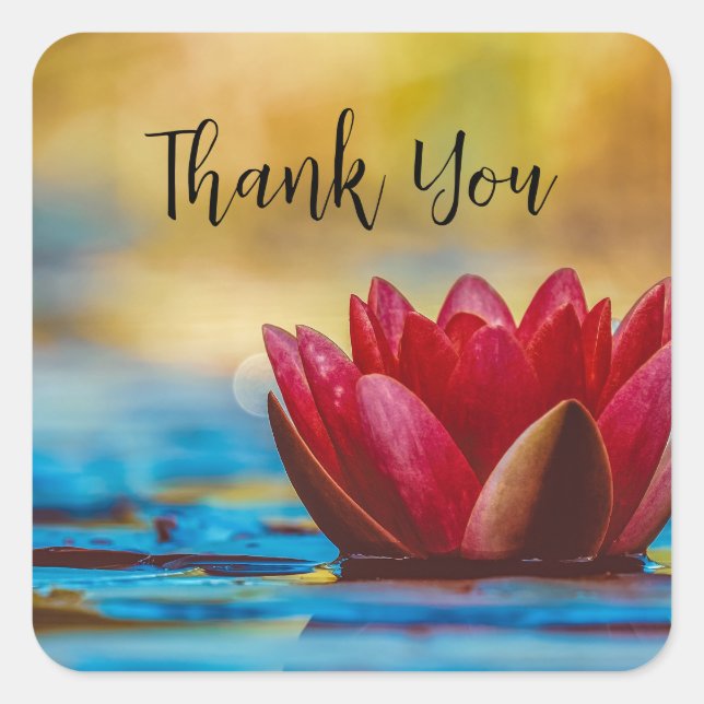 Pretty Photo of a Lotus Flower in a Pond Thank You Square Sticker (Front)