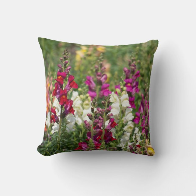 Pretty pillow of Snapdragons. (Front)