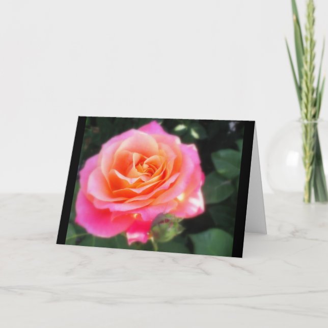 Pretty Pink and Orange Rose Macro Photo Card (Front)