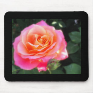 Pretty Pink and Orange Rose Macro Photo Mouse Mat