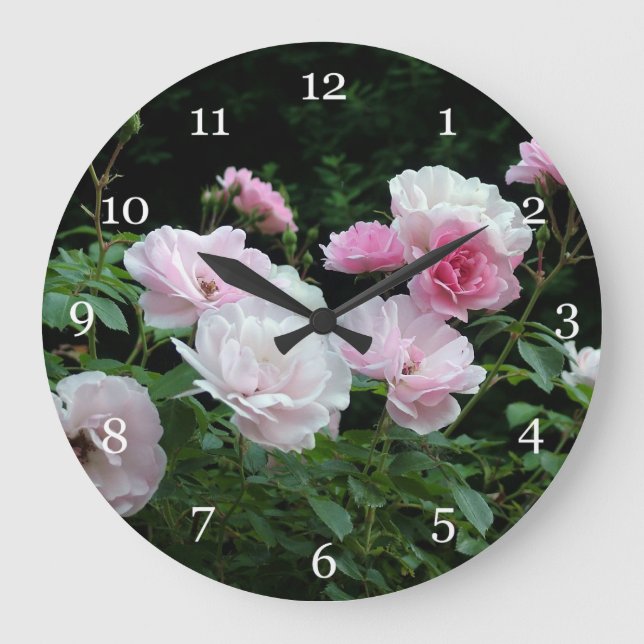 pretty pink and white rose flower bushes. Floral, Large Clock (Front)