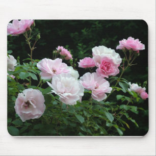 pretty pink and white rose flower bushes. Floral, Mouse Mat