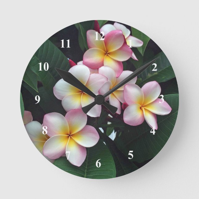 Pretty Pink and Yellow Plumeria Floral Photo Round Clock (Front)