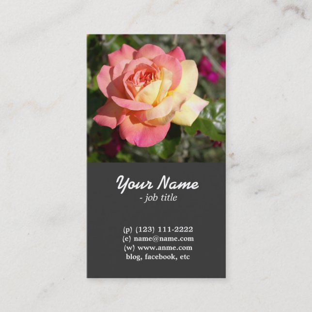 Pretty pink and yellow rose flower business card (Front)