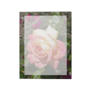 Pretty  pink and yellow rose flower.  Floral Notepad