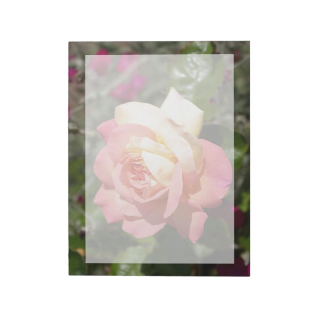 Pretty  pink and yellow rose flower.  Floral Notepad (Rotated)