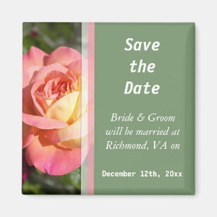 Pretty pink and yellow rose flower save the date magnet
