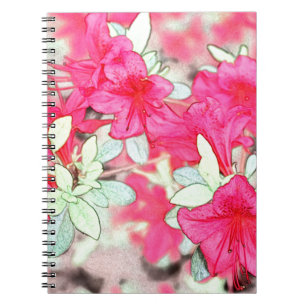 pretty pink azalea flowers. Floral garden plant Notebook