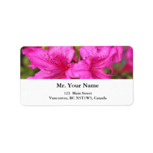 pretty pink azalea flowers label
