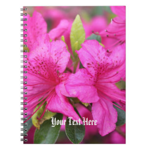 pretty pink azalea flowers notebook