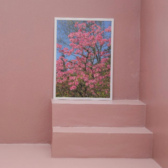 Pretty Pink Azaleas Floral Photo Print (In Situ (Framed))