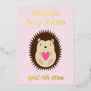 Pretty Pink Baby Girl Hedgehog Baby Shower
