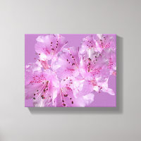 Pretty pink blossom floral beautiful fancy chic