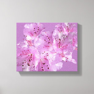 Pretty pink blossom floral beautiful fancy chic canvas print