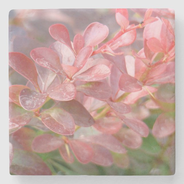Pretty Pink Branche Stone Coaster (Front)