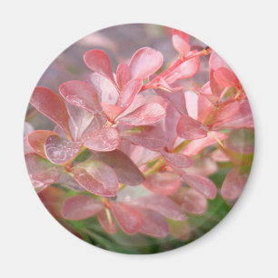 Pretty Pink Branches Magnet