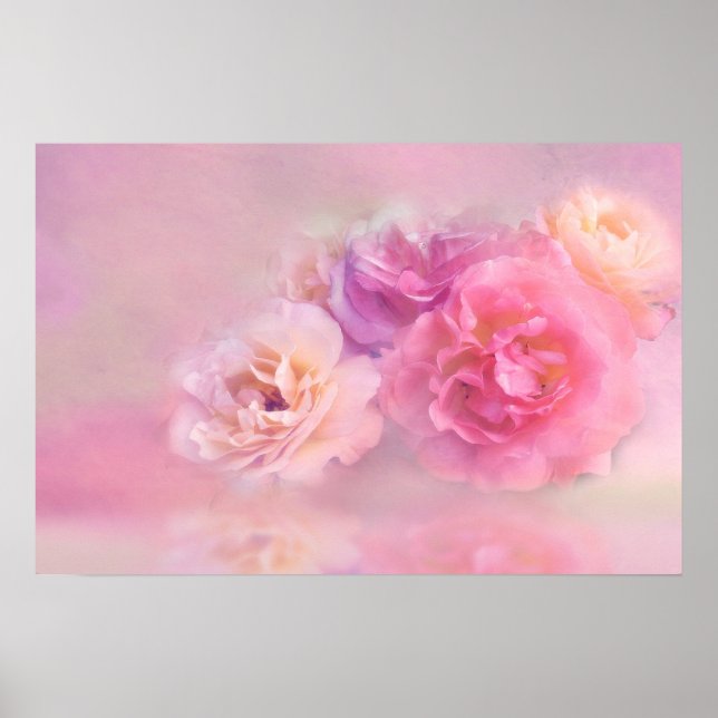 Pretty Pink Carnations Stylish Photograph Poster (Front)