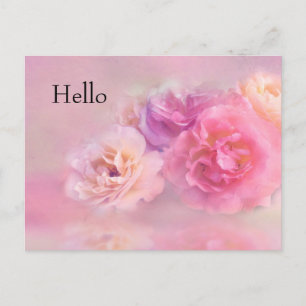 Pretty Pink Carnations Stylish Photography Hello Postcard