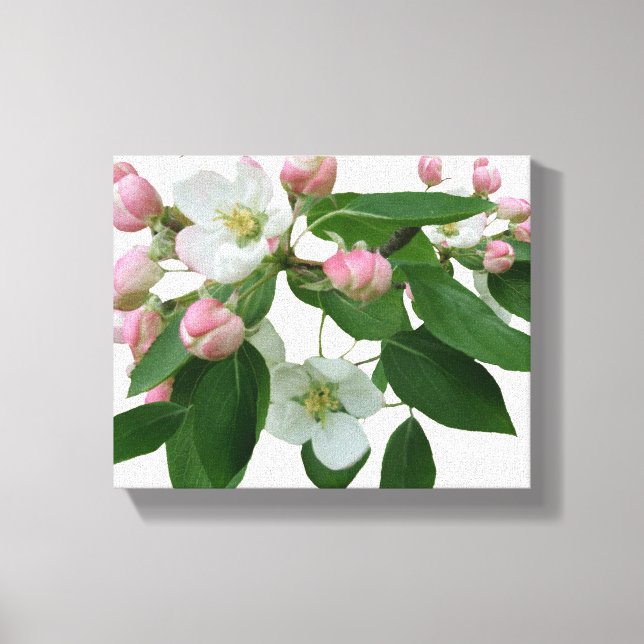 Pretty pink cherry blossom floral beautiful modern canvas print (Front)