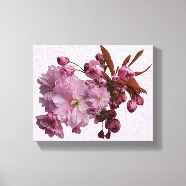 Pretty pink cherry blossom simple beautiful floral canvas print (Front)