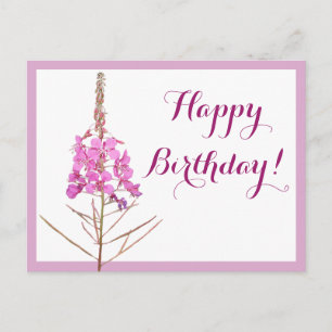 Pretty pink floral simple chic Happy Birthday fun Postcard