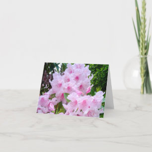 Pretty Pink Flower Birthday Greetings Card