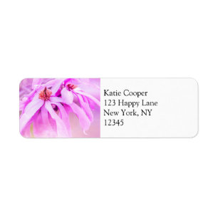 Pretty Pink Flower Blossoms