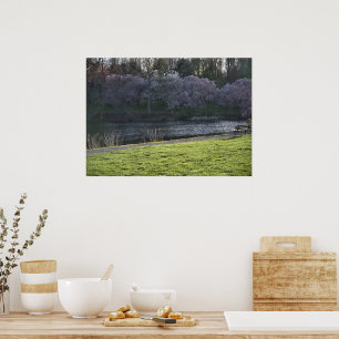 Pretty Pink Flowered Trees Pond Poster