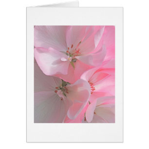 Pretty Pink Flowers Blank Note