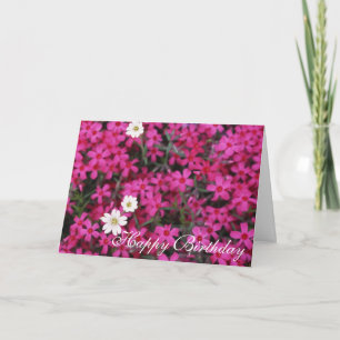 Pretty Pink Flowers Happy Birthday Card