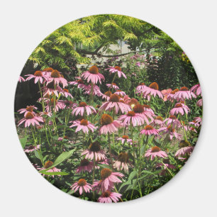 Pretty Pink Flowers of the Midwest Photo Magnet