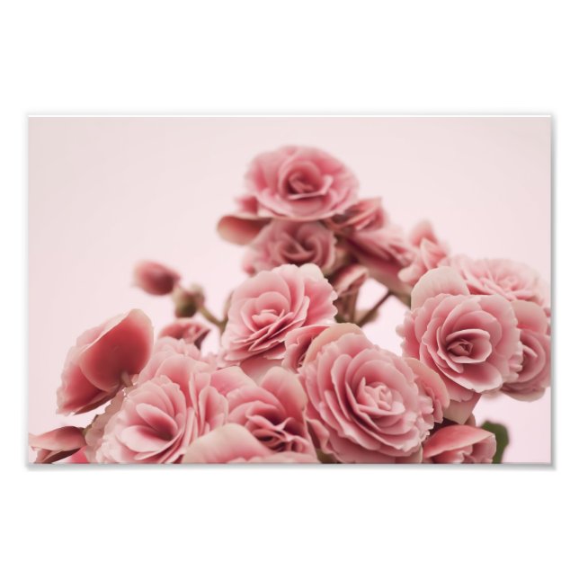 Pretty Pink flowers Photo Print (Front)