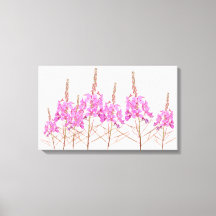 Pretty pink flowers stylish floral modern fine art
