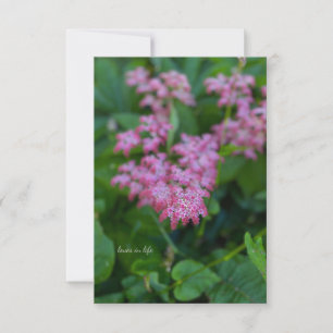 Pretty Pink Garden Flower Card